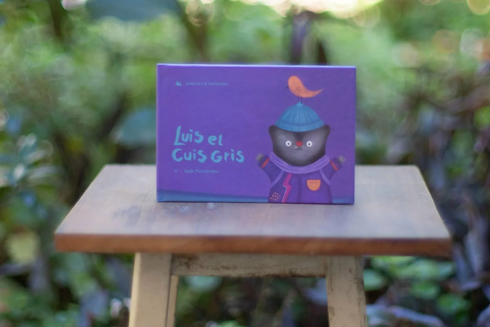 Luis el Cuis Gris: foto 2