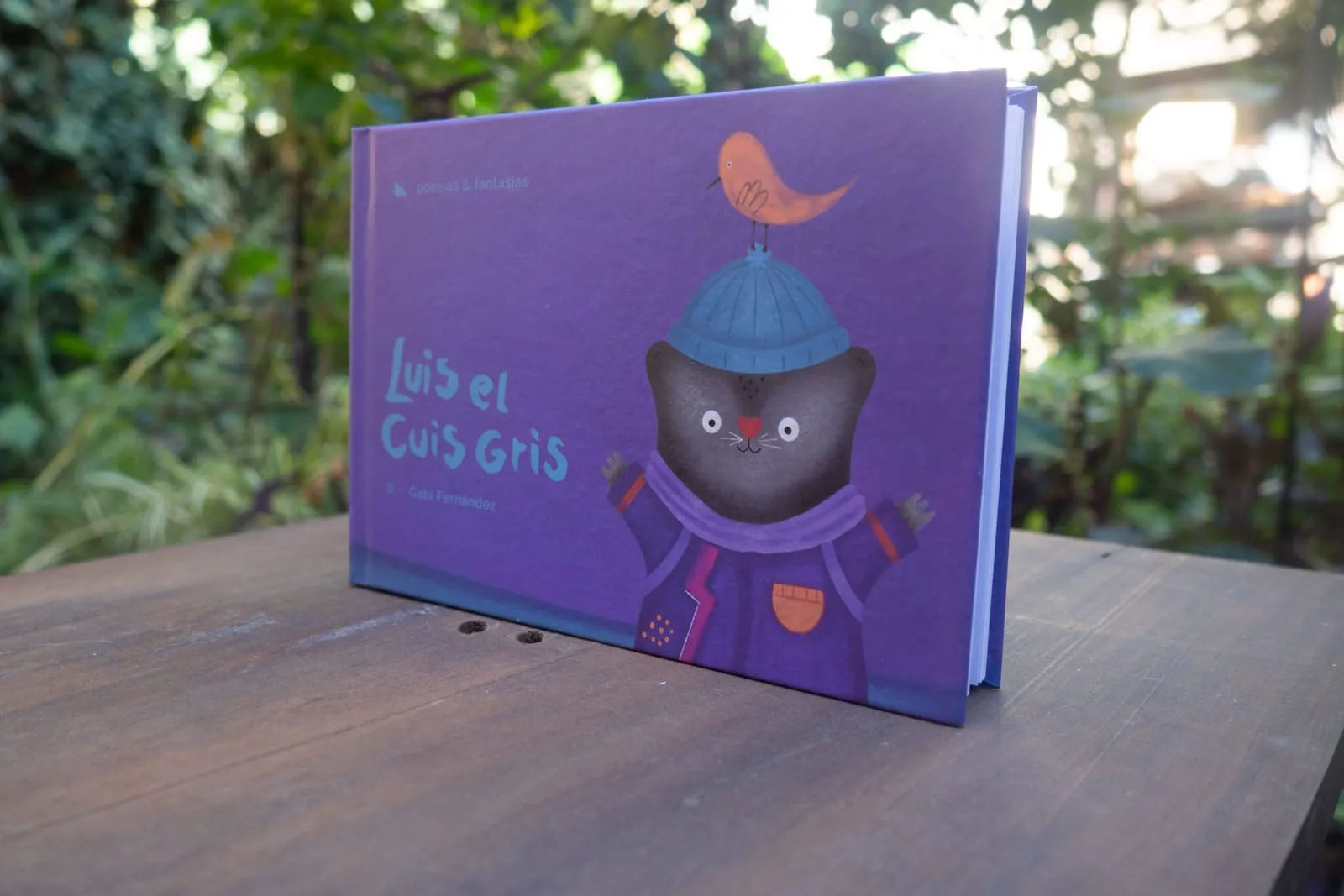 Luis el Cuis Gris: foto 1