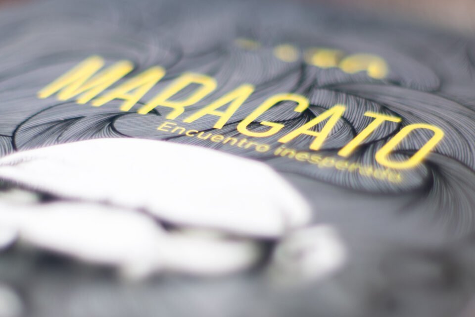 Maragato